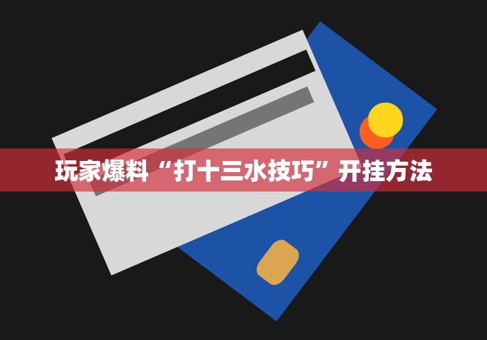 玩家爆料“打十三水技巧”开挂方法