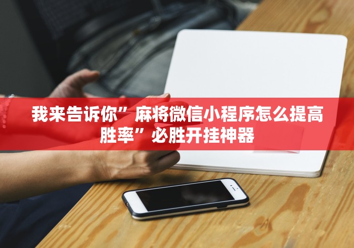 玩家辅助神器“微乐填大坑技巧”开挂神器{透视辅助}全揭秘