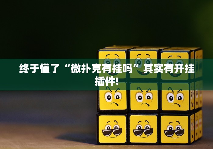 一分钟看懂“微乐陕西麻将有没有神器”(透视)开挂详细教程