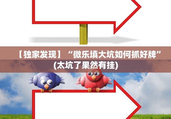 【独家发现】“微乐填大坑如何抓好牌”(太坑了果然有挂)