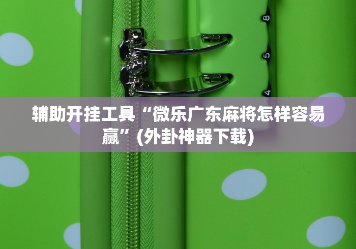 辅助开挂工具“微乐广东麻将怎样容易赢”(外卦神器下载)