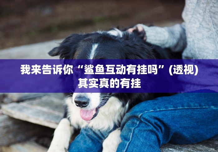 【重大消息】“凉山跑得快怎么才能赢”开挂步骤方法