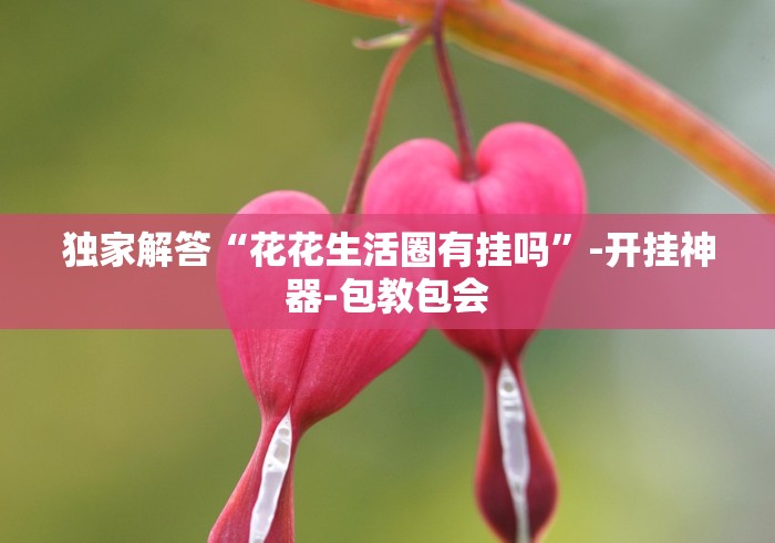 【第一攻略】“如何在微乐麻将中巧妙的赢”(果然有透视挂) 