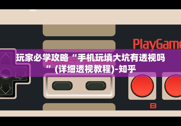 玩家必学攻略“手机玩填大坑有透视吗	”(详细透视教程)-知乎