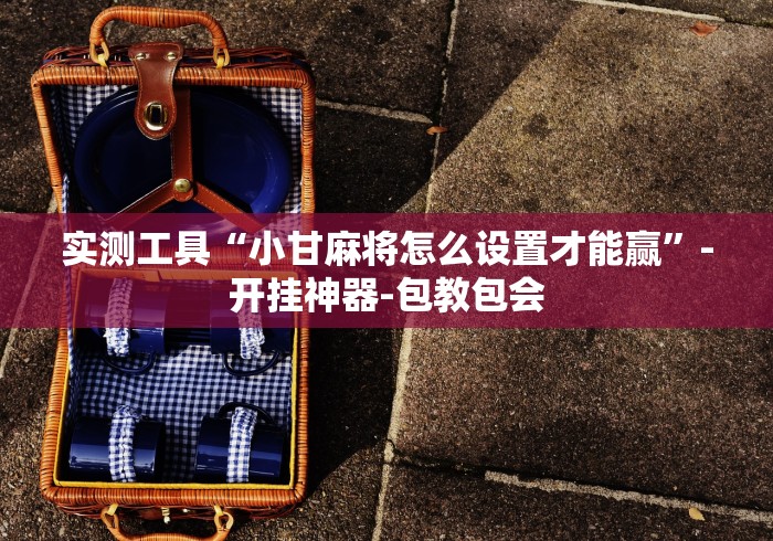 实测工具“小甘麻将怎么设置才能赢”-开挂神器-包教包会