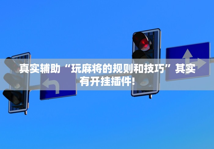 真实辅助“玩麻将的规则和技巧”其实有开挂插件!