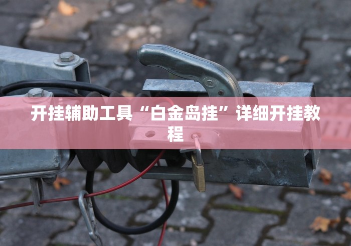 开挂辅助工具“白金岛挂”详细开挂教程