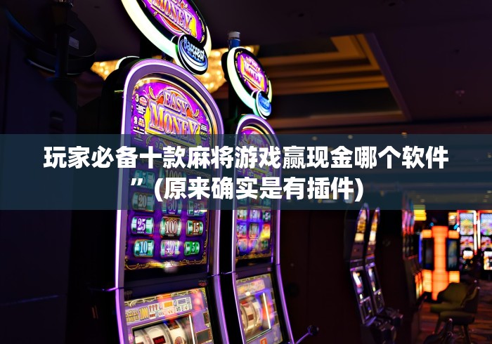 玩家必备十款麻将游戏赢现金哪个软件”(原来确实是有插件)