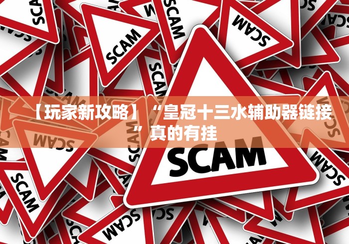【玩家新攻略】“皇冠十三水辅助器链接	”真的有挂