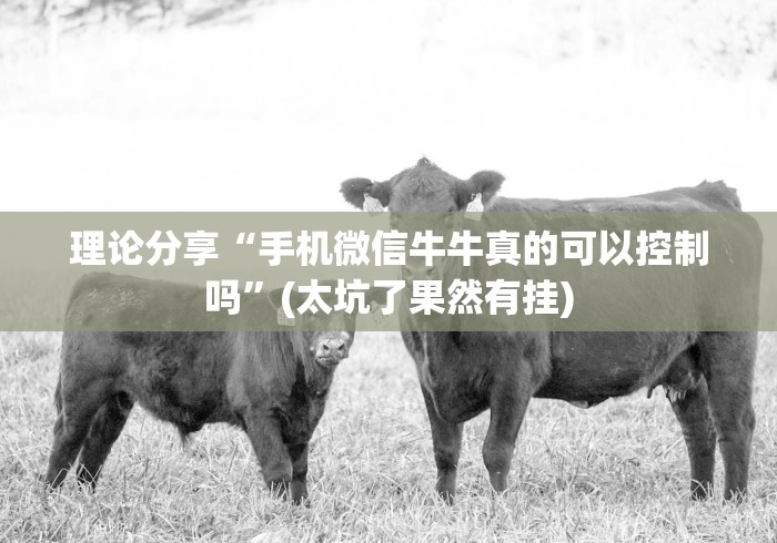 一分钟讲解“微乐浙江麻将万能开挂器免费”详细辅助软件教程