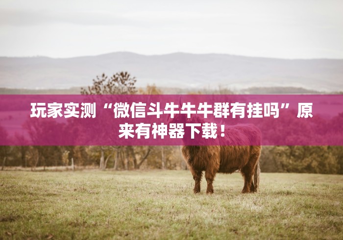 玩家实测“微信斗牛牛牛群有挂吗	”原来有神器下载！
