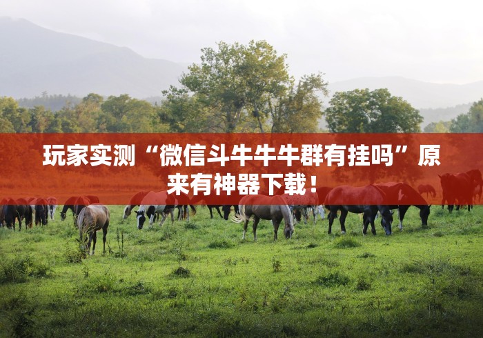 玩家实测“微信斗牛牛牛群有挂吗”原来有神器下载！