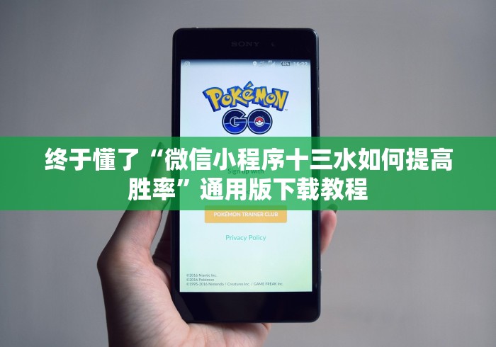 终于懂了“微信小程序十三水如何提高胜率”通用版下载教程