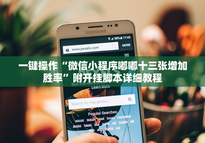 一键操作“微信小程序嘟嘟十三张增加胜率	”附开挂脚本详细教程