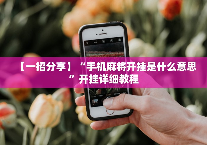 【一招分享】“手机麻将开挂是什么意思”开挂详细教程