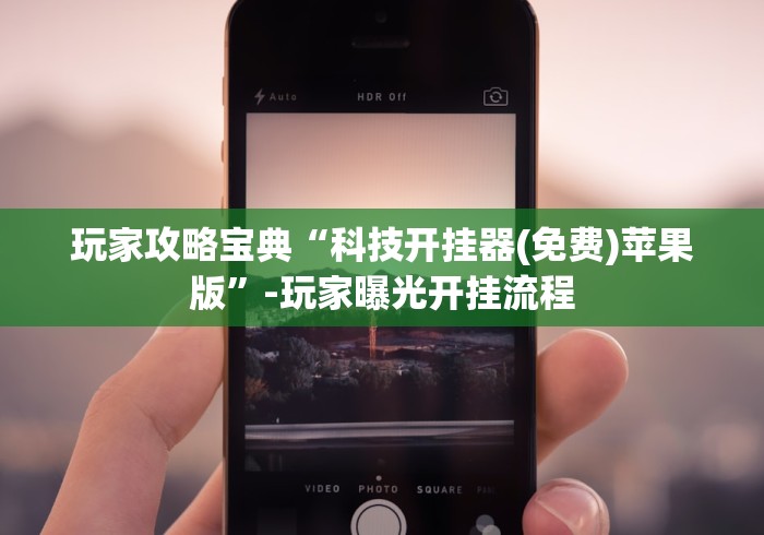 分享实测辅助“陕麻圈捉老麻子技巧	”(详细开挂教程)