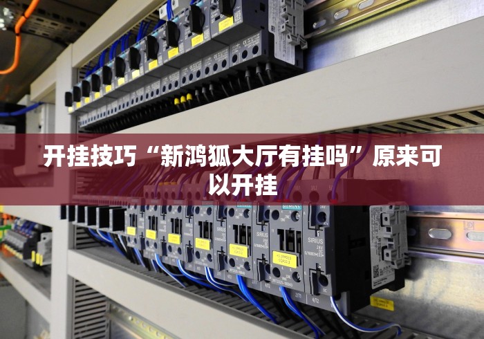 开挂技巧“新鸿狐大厅有挂吗	”原来可以开挂