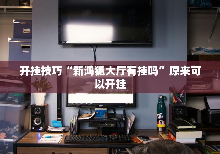 开挂技巧“新鸿狐大厅有挂吗	”原来可以开挂