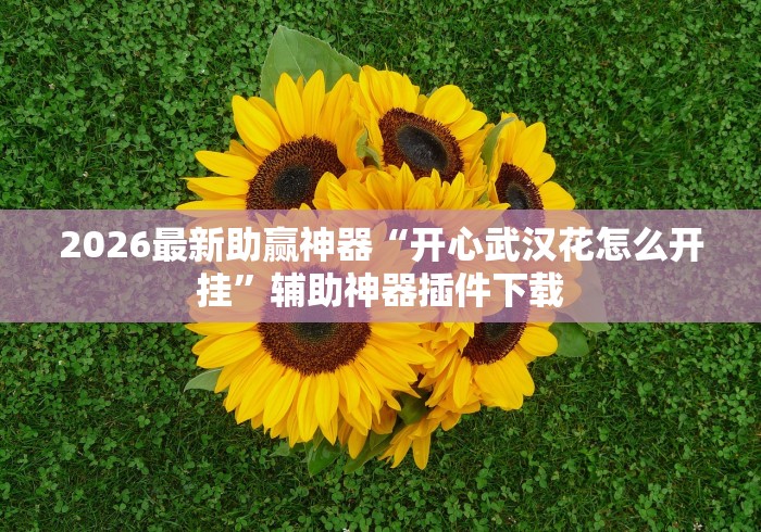 2026最新助赢神器“开心武汉花怎么开挂”辅助神器插件下载