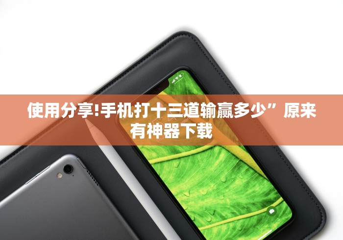 使用分享!手机打十三道输赢多少	”原来有神器下载