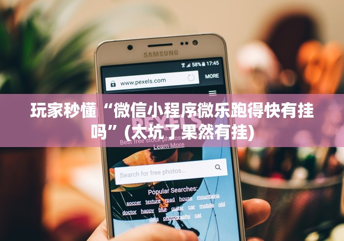 玩家秒懂“微信小程序微乐跑得快有挂吗	”(太坑了果然有挂)