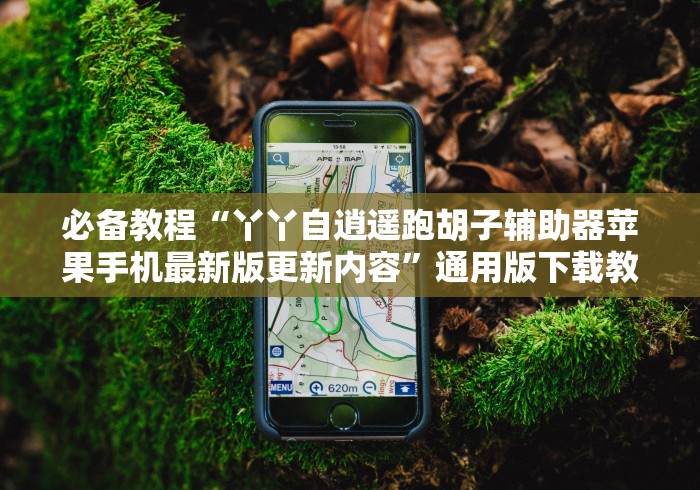 必备教程“丫丫自逍遥跑胡子辅助器苹果手机最新版更新内容”通用版下载教程！