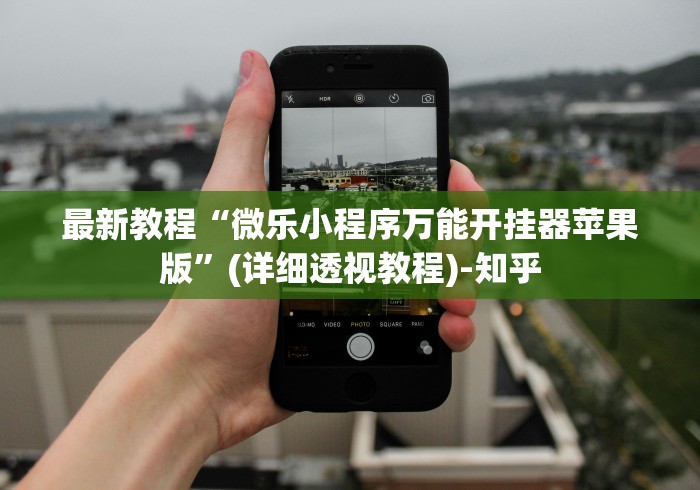 最新教程“微乐小程序万能开挂器苹果版”(详细透视教程)-知乎