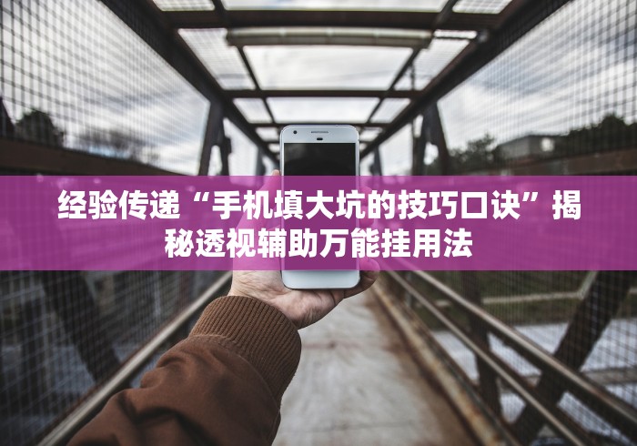 经验传递“手机填大坑的技巧口诀	”揭秘透视辅助万能挂用法