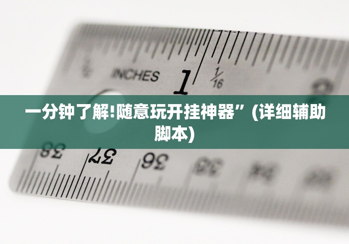一分钟了解!随意玩开挂神器	”(详细辅助脚本)