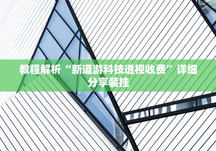 教程解析“新道游科技透视收费”详细分享装挂