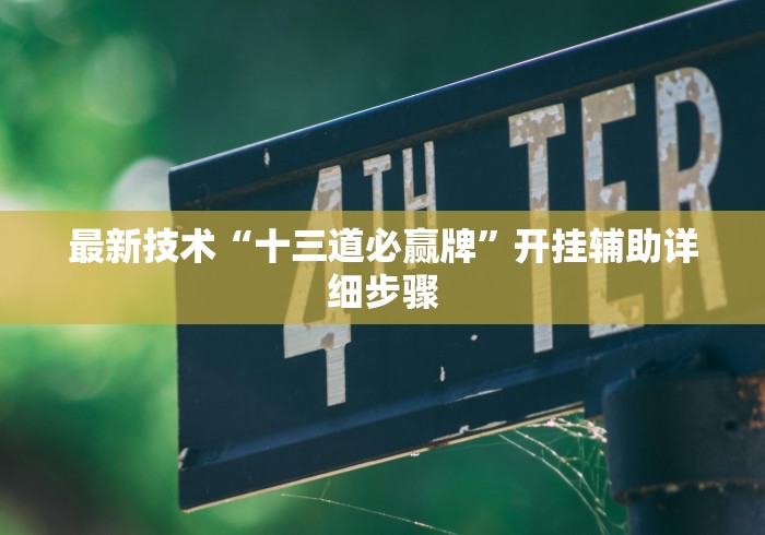 最新技术“十三道必赢牌”开挂辅助详细步骤