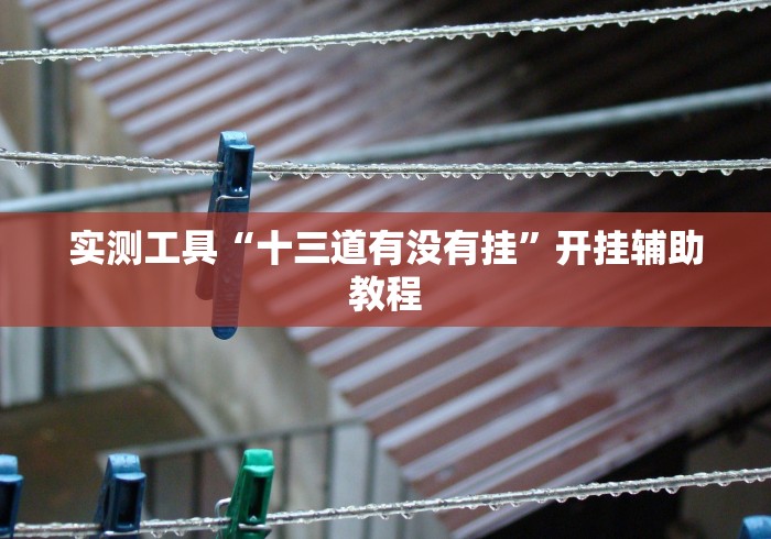 实测工具“十三道有没有挂”开挂辅助教程