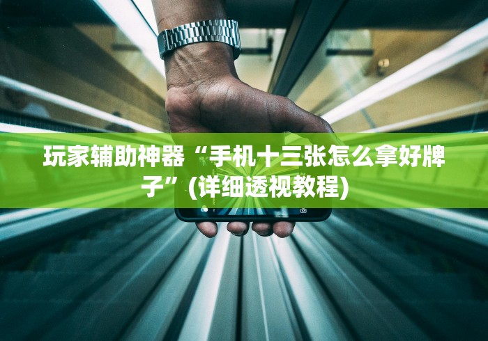 玩家辅助神器“手机十三张怎么拿好牌子”(详细透视教程)