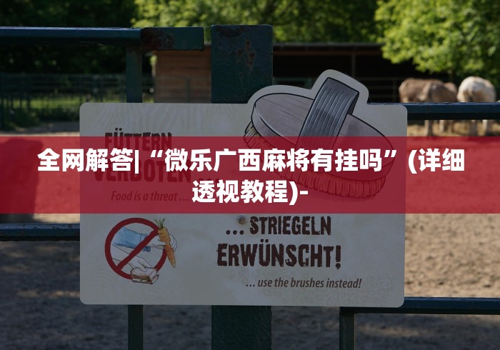 全网解答|“微乐广西麻将有挂吗	”(详细透视教程)-