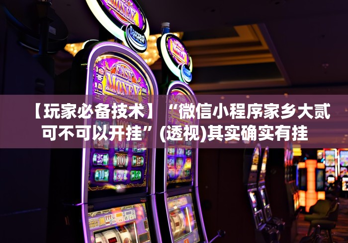 【玩家必备技术】“微信小程序家乡大贰可不可以开挂”(透视)其实确实有挂