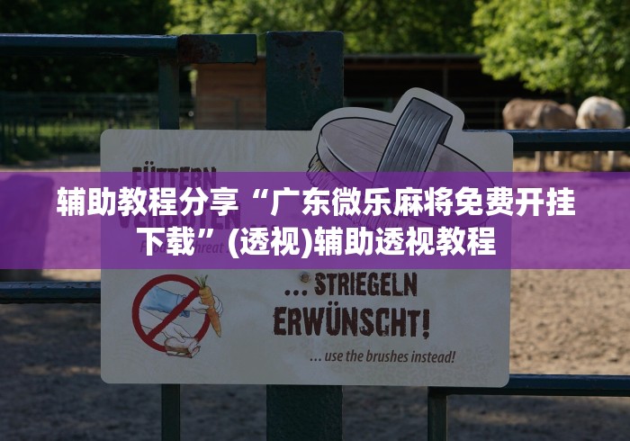 辅助教程分享“广东微乐麻将免费开挂下载	”(透视)辅助透视教程