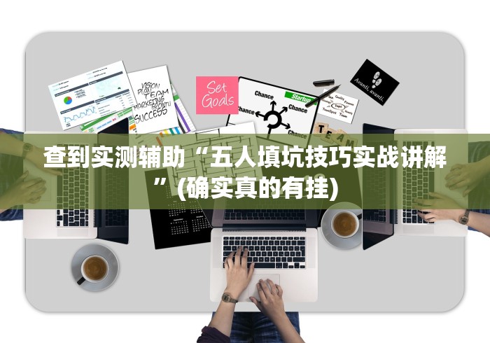 查到实测辅助“五人填坑技巧实战讲解”(确实真的有挂)