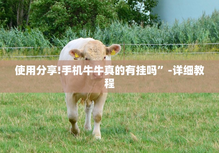 使用分享!手机牛牛真的有挂吗”-详细教程
