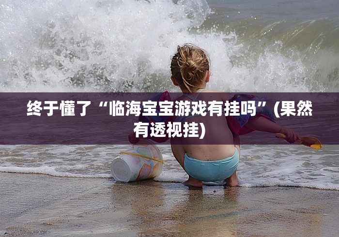 终于懂了“临海宝宝游戏有挂吗”(果然有透视挂)
