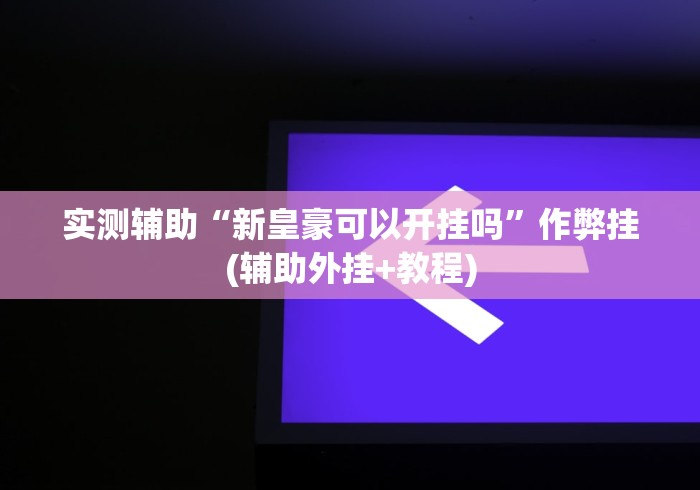 实测辅助“新皇豪可以开挂吗”作弊挂(辅助外挂+教程)