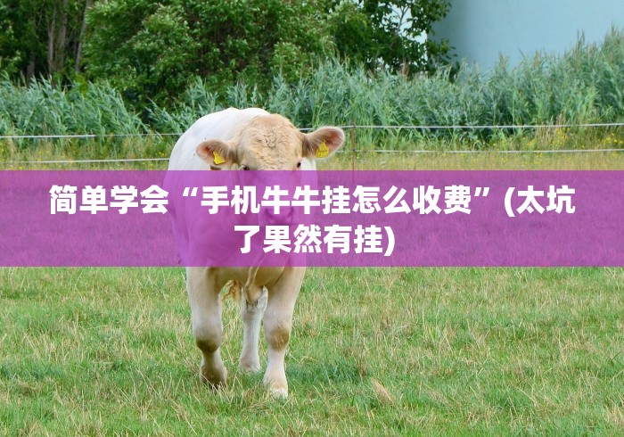 简单学会“手机牛牛挂怎么收费”(太坑了果然有挂)