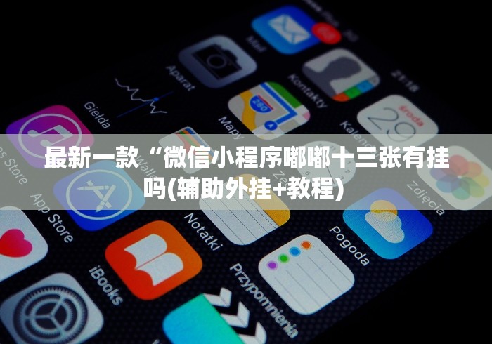最新一款“微信小程序嘟嘟十三张有挂吗(辅助外挂+教程) 