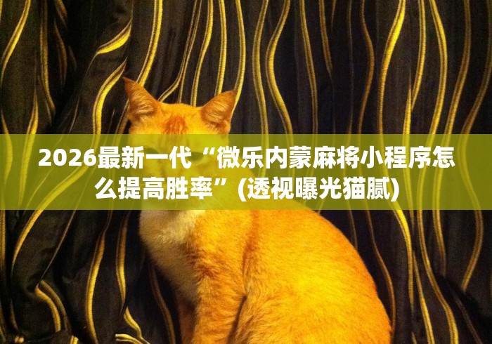 2026最新一代“微乐内蒙麻将小程序怎么提高胜率”(透视曝光猫腻)