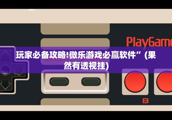 玩家必备攻略!微乐游戏必赢软件”(果然有透视挂)