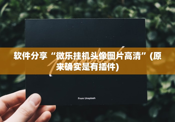 软件分享“微乐挂机头像图片高清”(原来确实是有插件)