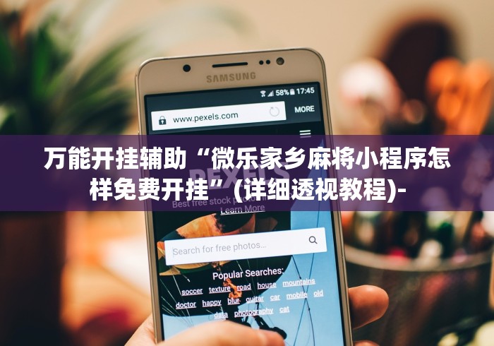 万能开挂辅助“微乐家乡麻将小程序怎样免费开挂”(详细透视教程)-
