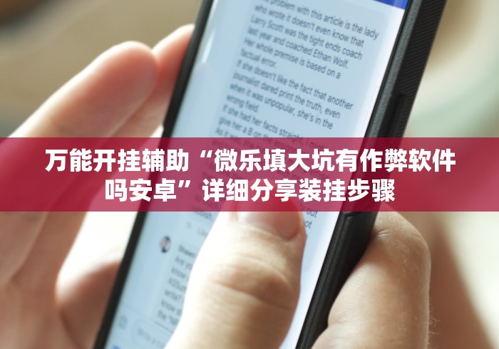 万能开挂辅助“微乐填大坑有作弊软件吗安卓”详细分享装挂步骤