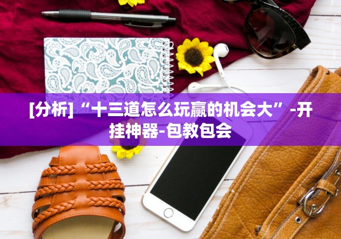 [分析]“十三道怎么玩赢的机会大”-开挂神器-包教包会