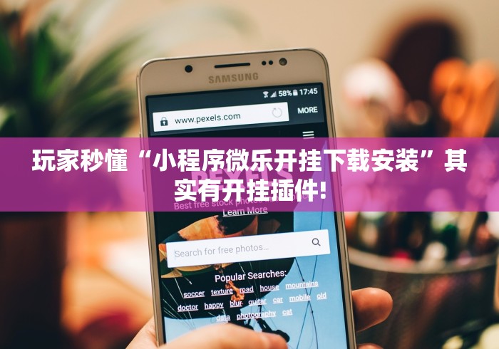玩家秒懂“小程序微乐开挂下载安装	”其实有开挂插件!
