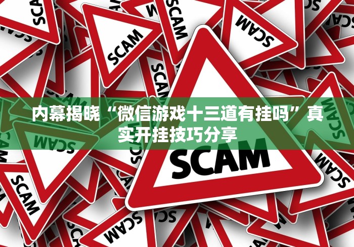 内幕揭晓“微信游戏十三道有挂吗”真实开挂技巧分享
